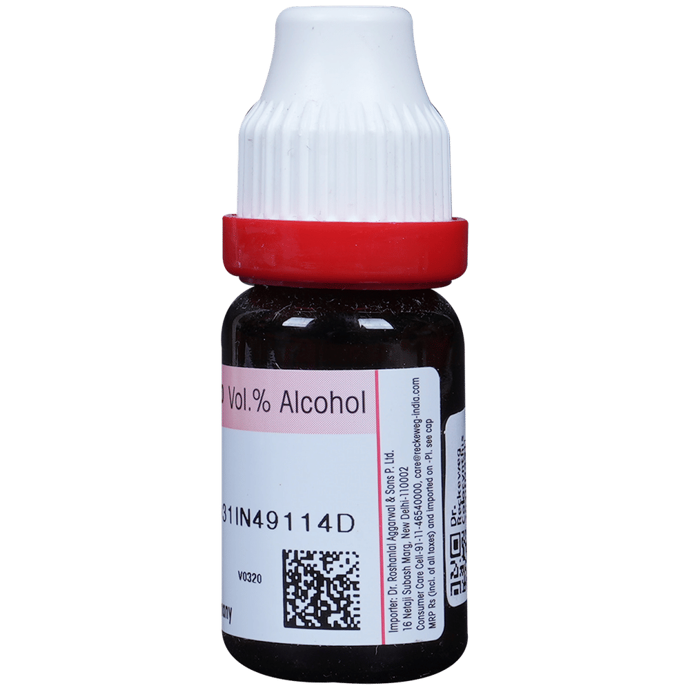 Dr. Reckeweg Colocynthis Dilution 200 CH bottle of 11 ml Dilution