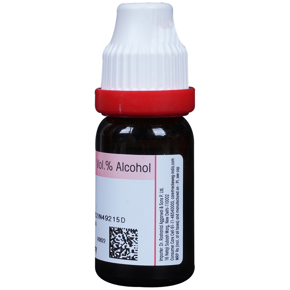 Dr. Reckeweg Arnica Mont Dilution 200 CH bottle of 11 ml Dilution Dr. Reckeweg Arnica Mont Dilution 200 CH bottle of 11 ml Dilution