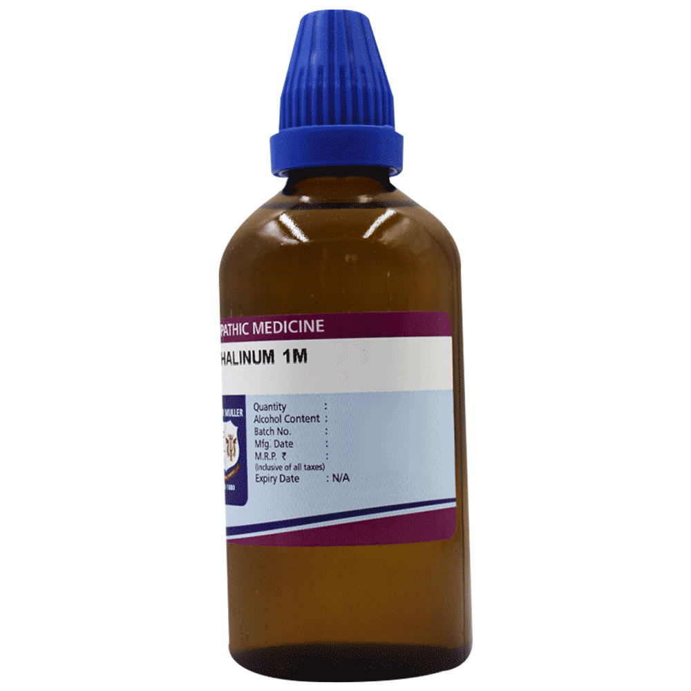 Father Muller Napthalinum  Drop 1M bottle of 100 ml Drop