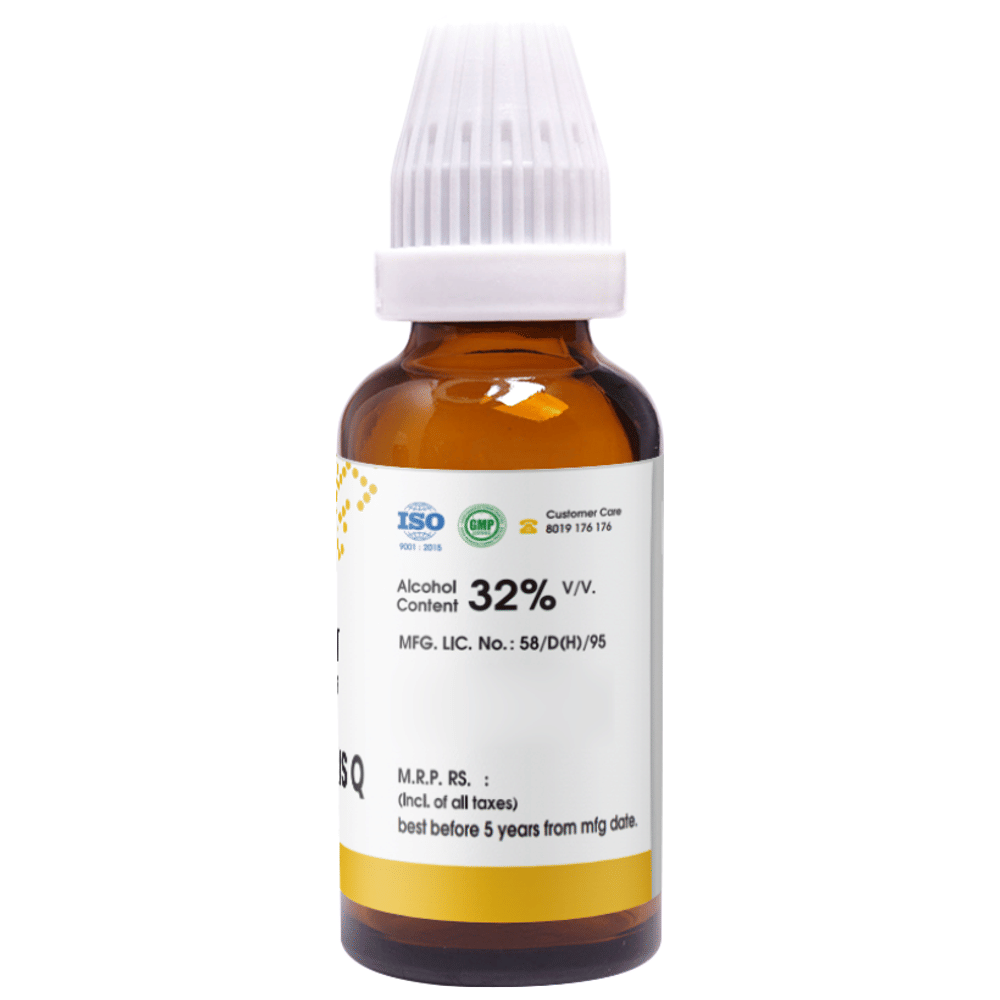 Pioneer Pharma Cydonia Vulgaris Q Mother Tincture bottle of 30 ml Mother Tincture Pioneer Pharma Cydonia Vulgaris Q Mother Tincture bottle of 30 ml Mother Tincture