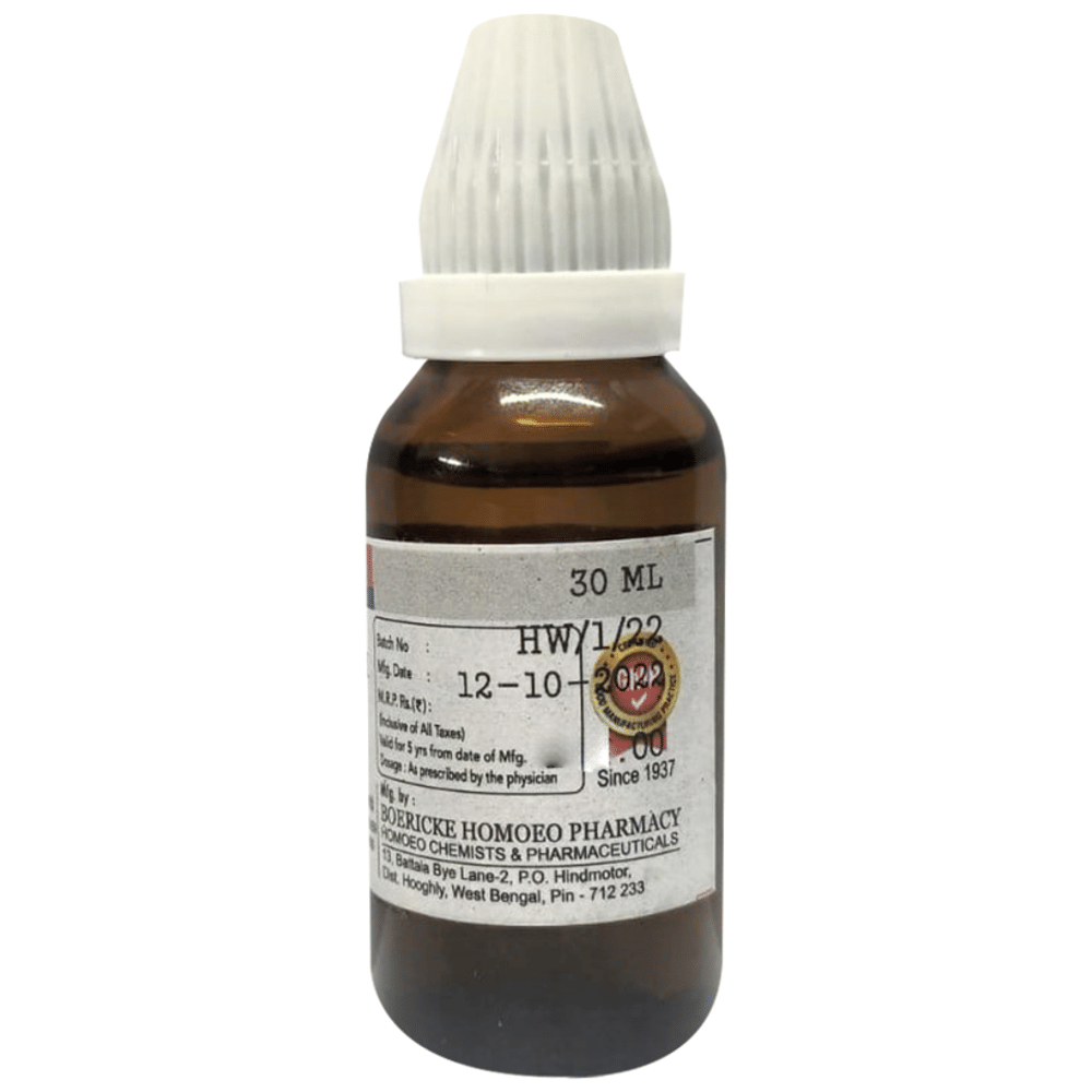 Dr. Majumder Homeo World Arsenicum Album Dilution 12 (30ml Each) combo pack of 2 bottles Dr. Majumder Homeo World Arsenicum Album Dilution 12 (30ml Each) combo pack of 2 bottles