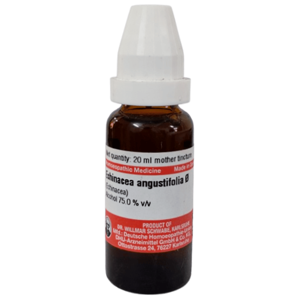 Dr Willmar Schwabe Germany Epigaea Repens Mother Tincture Q bottle of 20 ml Mother Tincture