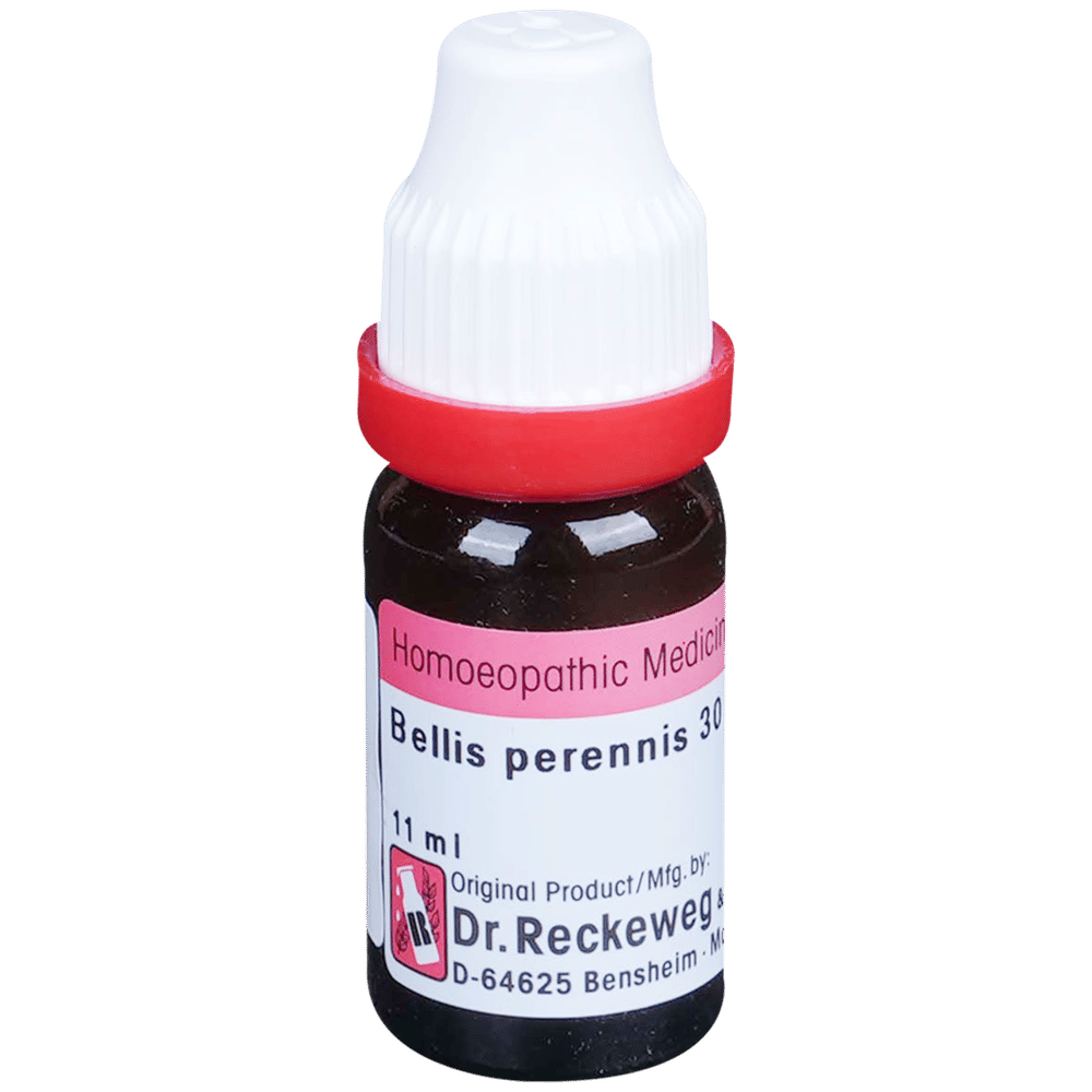 Dr. Reckeweg Bellis Per Dilution 30 CH bottle of 11 ml Dilution Dr. Reckeweg Bellis Per Dilution 30 CH bottle of 11 ml Dilution