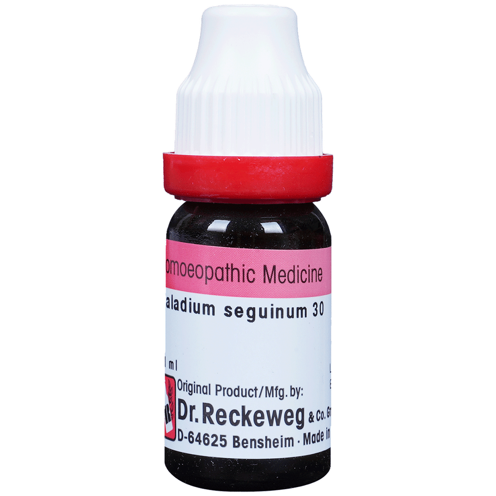 Dr. Reckeweg Caladium Seg Dilution 30 CH bottle of 11 ml Dilution
