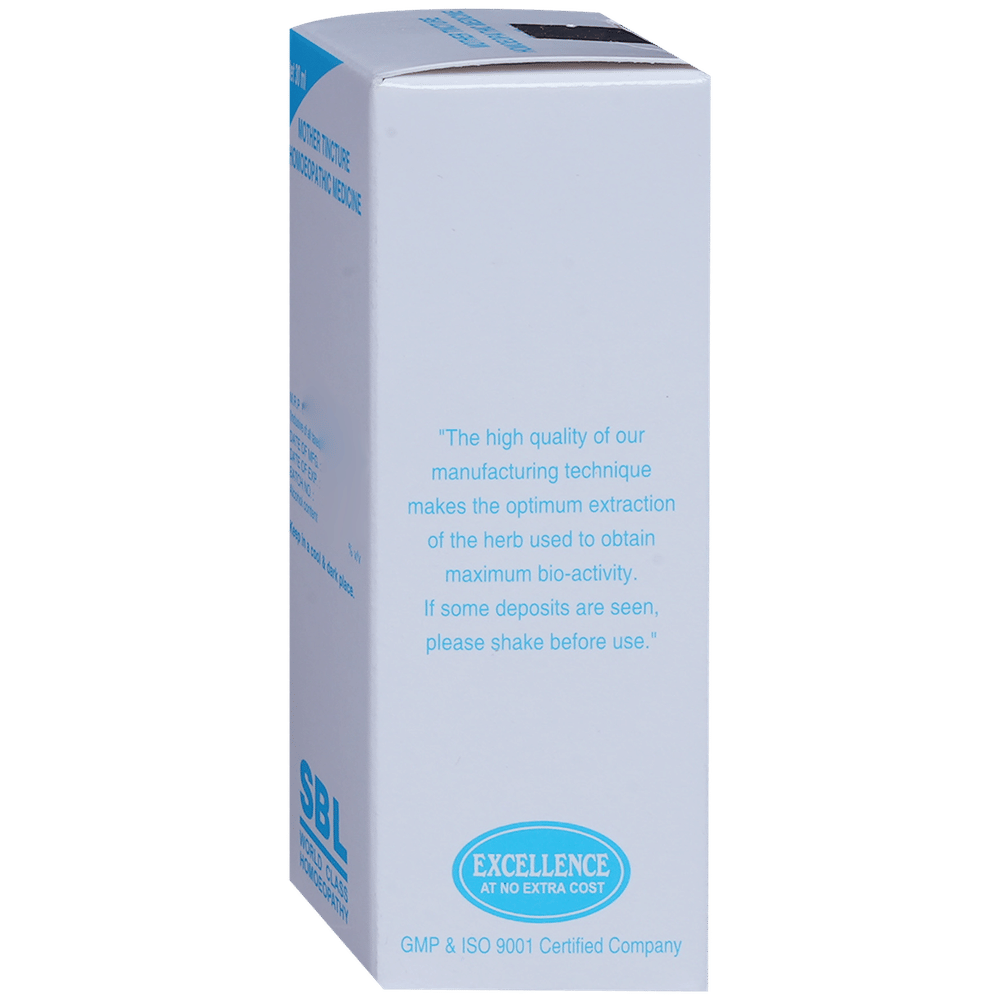 SBL Fucus Vesiculosus Mother Tincture Q bottle of 30 ml Mother Tincture