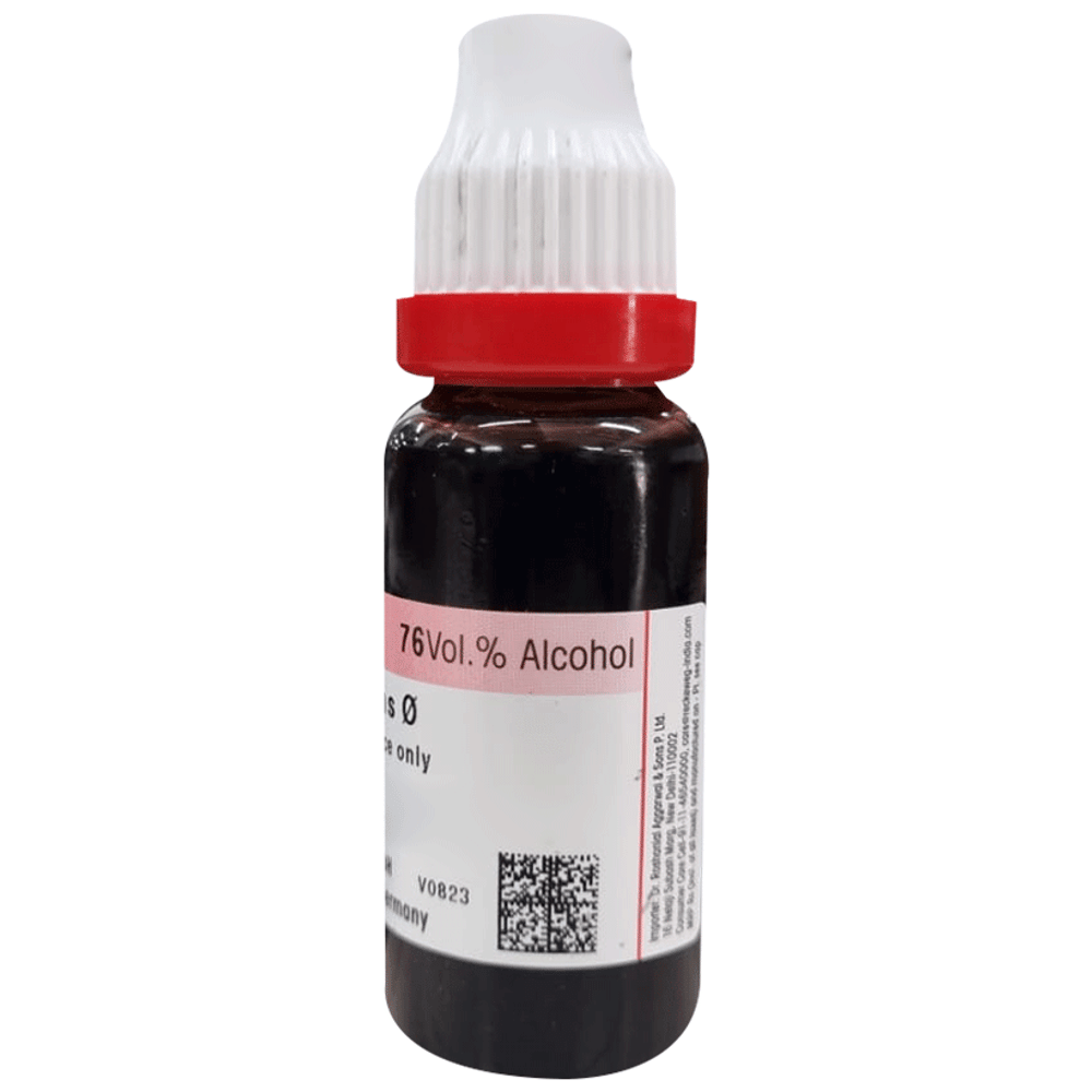 Dr. Reckeweg Gaultheria Mother Tincture Q bottle of 20 ml Mother Tincture Dr. Reckeweg Gaultheria Mother Tincture Q bottle of 20 ml Mother Tincture