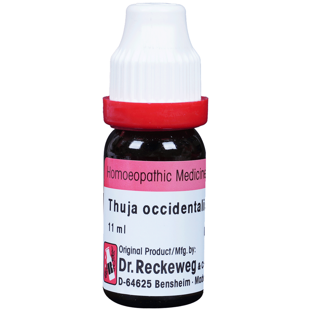 Dr. Reckeweg Thuja Occ Dilution 30 CH bottle of 11 ml Dilution