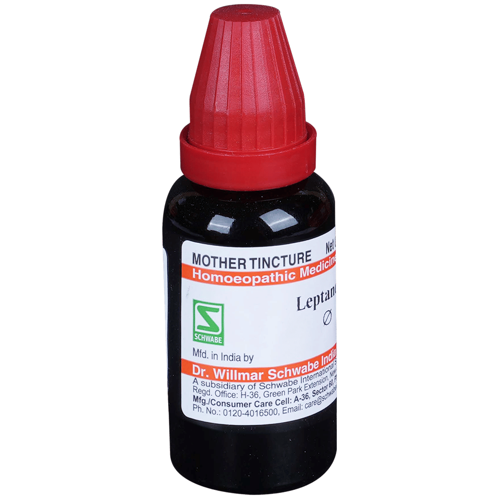 Dr Willmar Schwabe India Leptandra Mother Tincture Q bottle of 30 ml Mother Tincture Dr Willmar Schwabe India Leptandra Mother Tincture Q bottle of 30 ml Mother Tincture