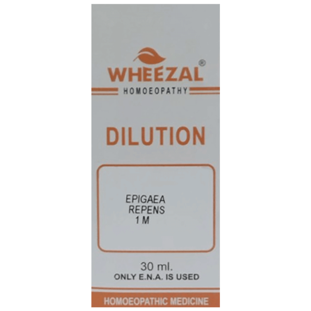 Wheezal Epigaea Repnes Dilution 1M bottle of 30 ml Dilution