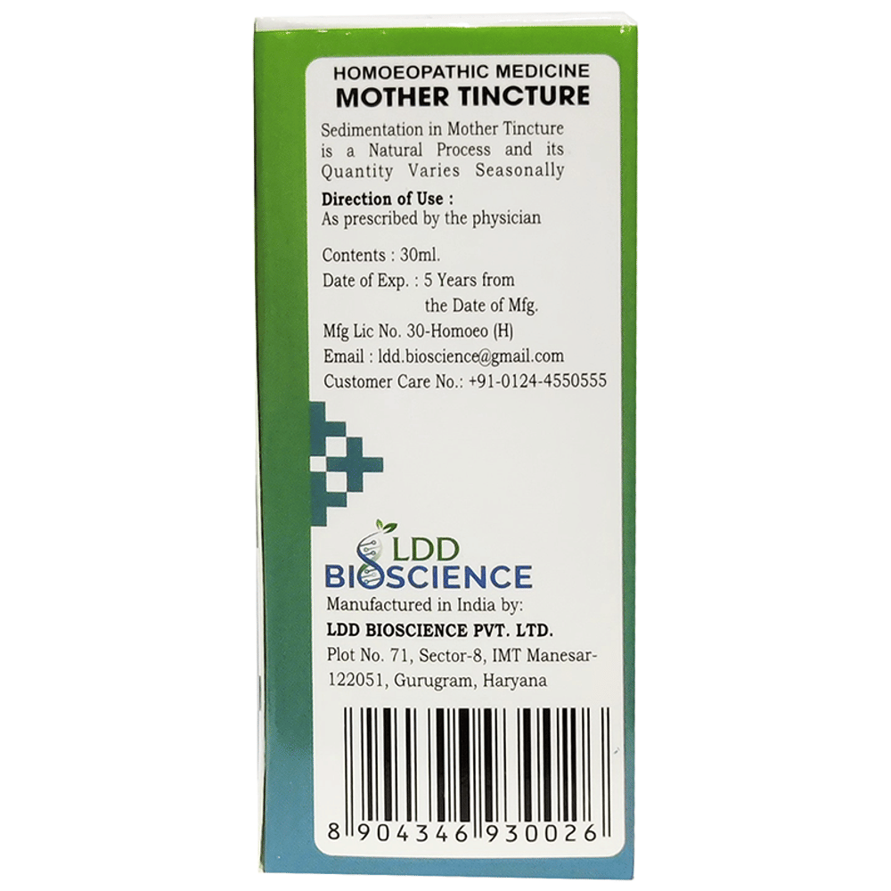 LDD Bioscience Zingiber Officinalis Mother Tincture Q bottle of 30 ml Mother Tincture
