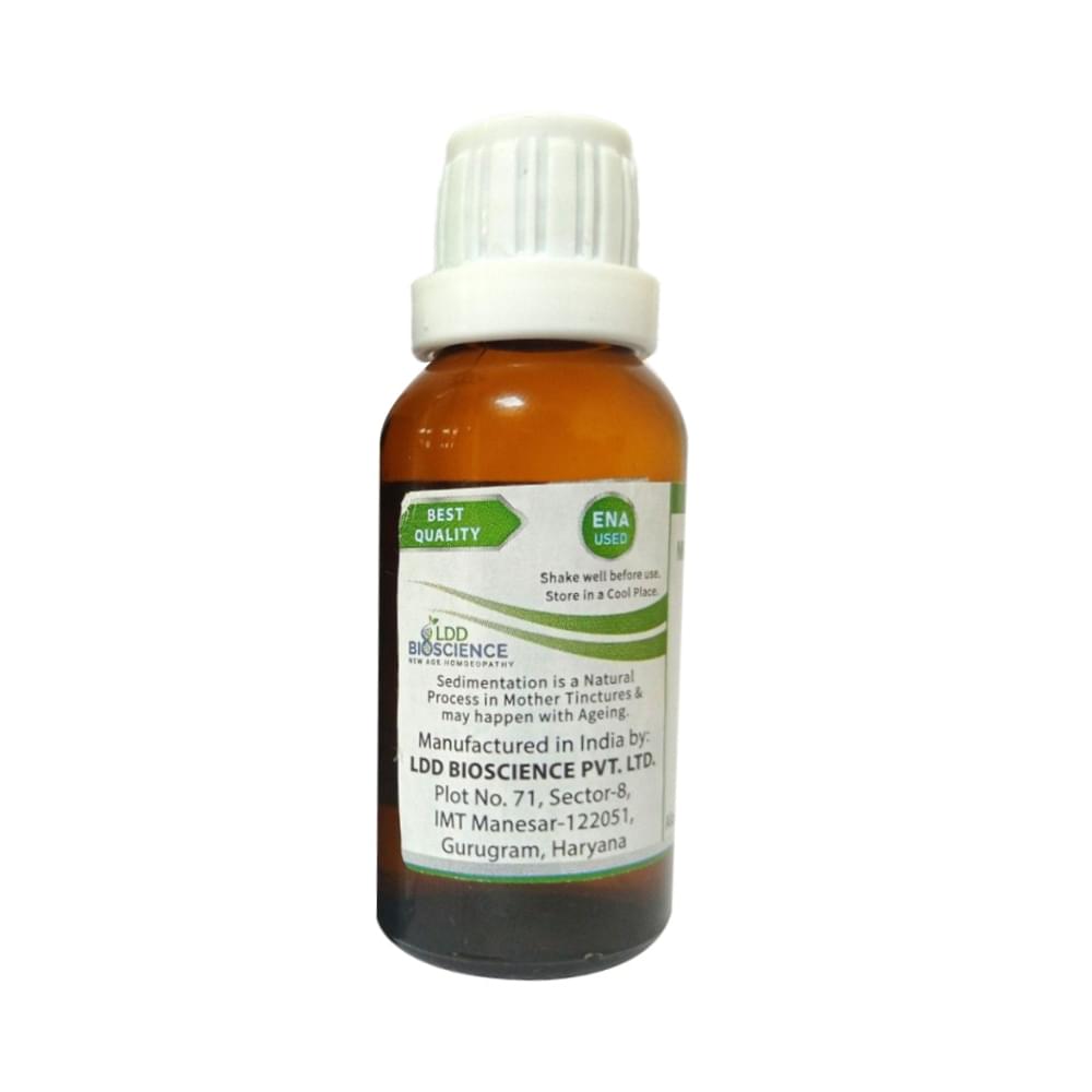 LDD Bioscience Rhus Tox Ext Mother Tincture Q bottle of 30 ml Mother Tincture