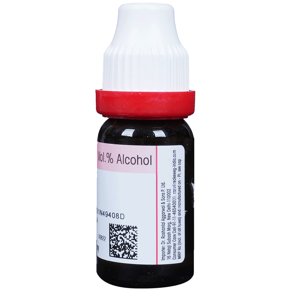 Dr. Reckeweg Caladium Seg Dilution 30 CH bottle of 11 ml Dilution Dr. Reckeweg Caladium Seg Dilution 30 CH bottle of 11 ml Dilution