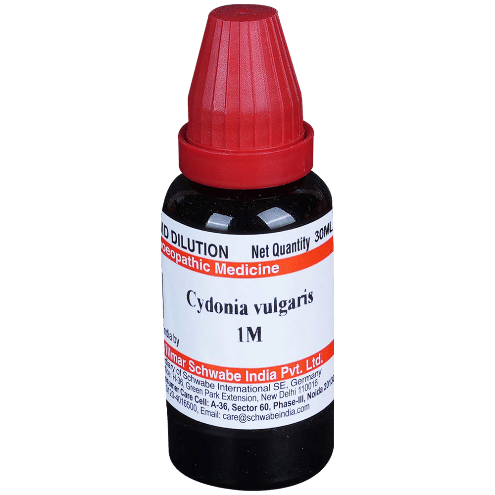Dr Willmar Schwabe India Cydonia Vulgaris Dilution 1M bottle of 30 ml Dilution