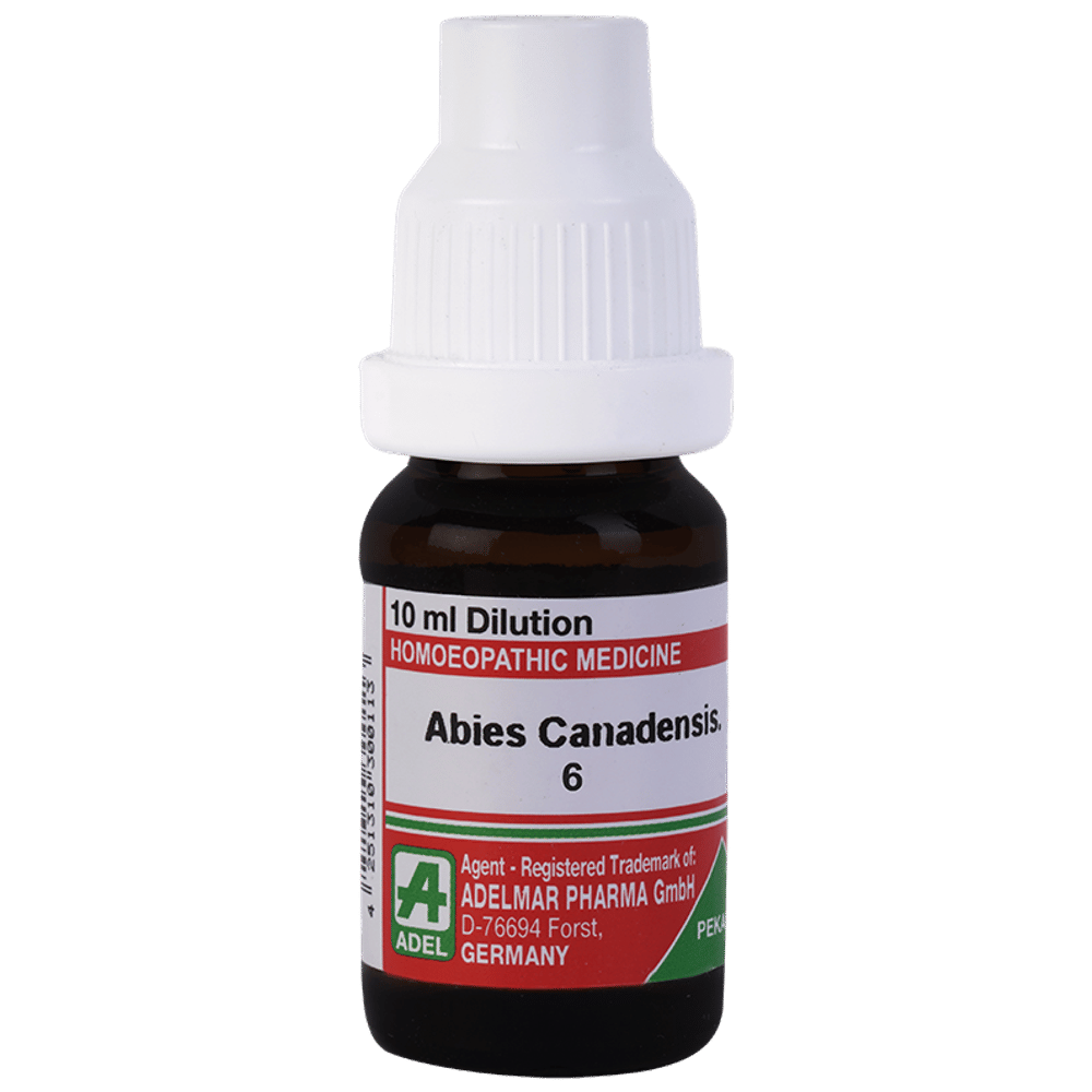 ADEL Abies Canadensis. Dilution 6 bottle of 10 gm Dilution ADEL Abies Canadensis. Dilution 6 bottle of 10 gm Dilution