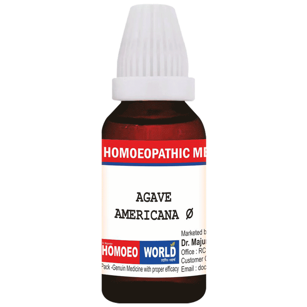Dr. Majumder Homeo World Agave Americana Q Mother Tincture  (30 ml Each) box of 1 Bottle