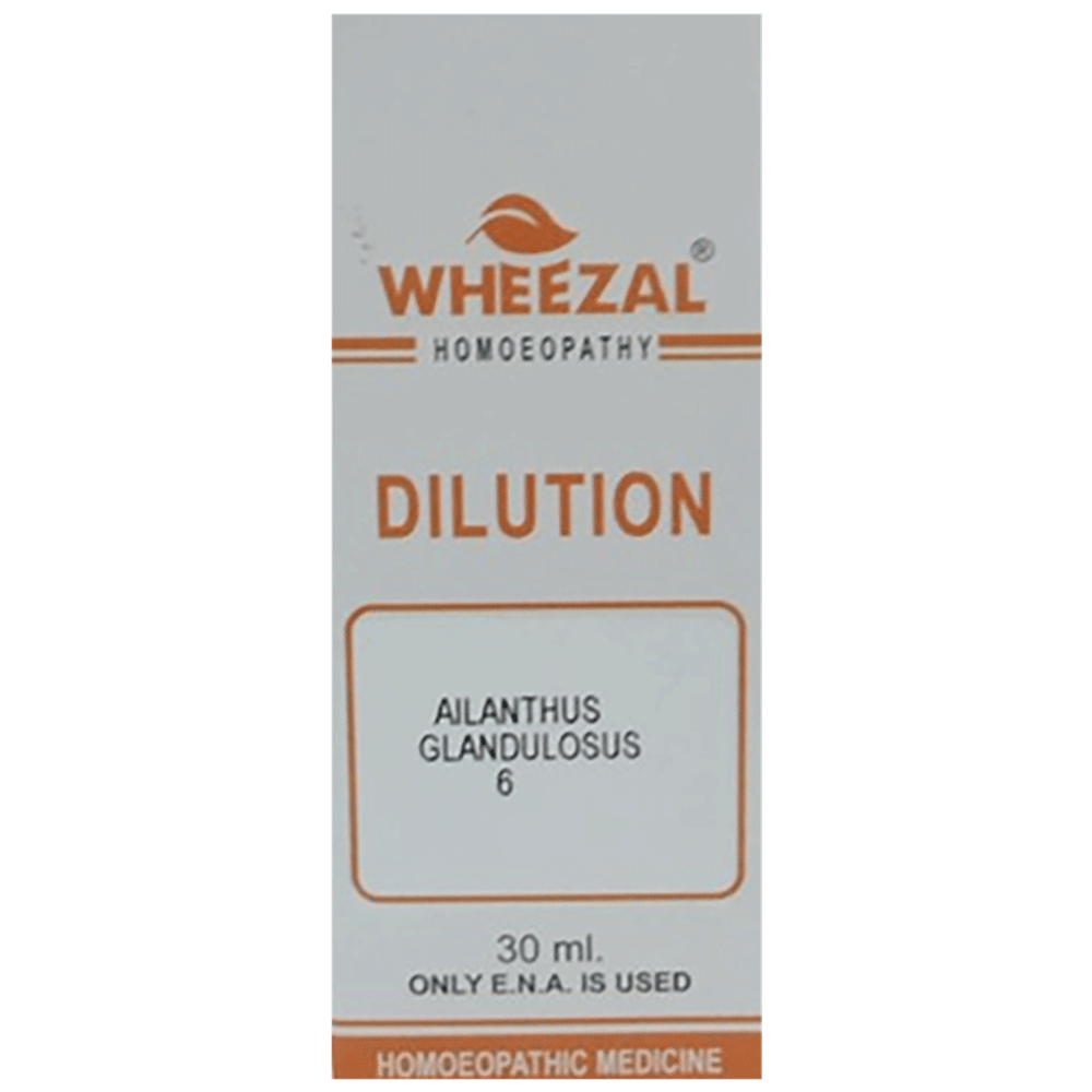Wheezal Ailanthus G. Dilution 6 bottle of 30 ml Dilution