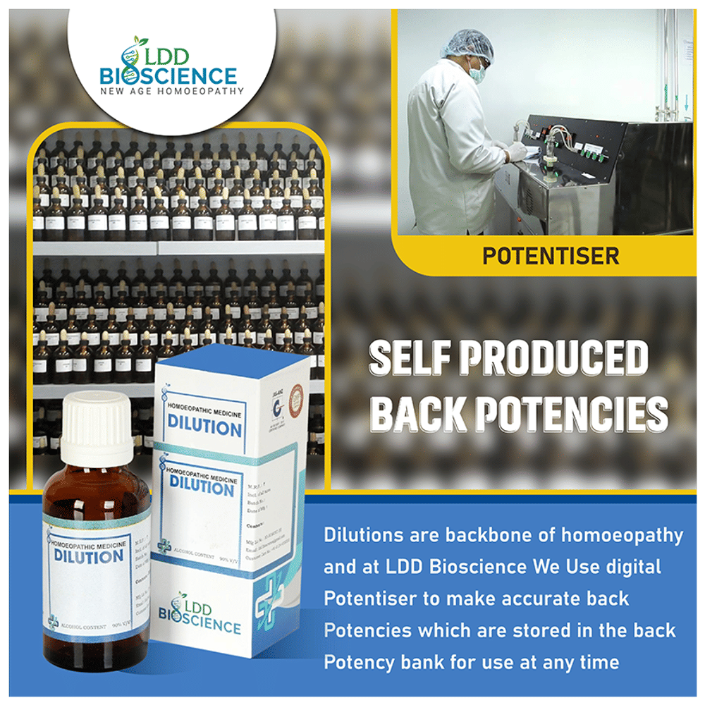 LDD Bioscience Ocimum Sanc Dilution 200 bottle of 100 ml Dilution LDD Bioscience Ocimum Sanc Dilution 200 bottle of 100 ml Dilution