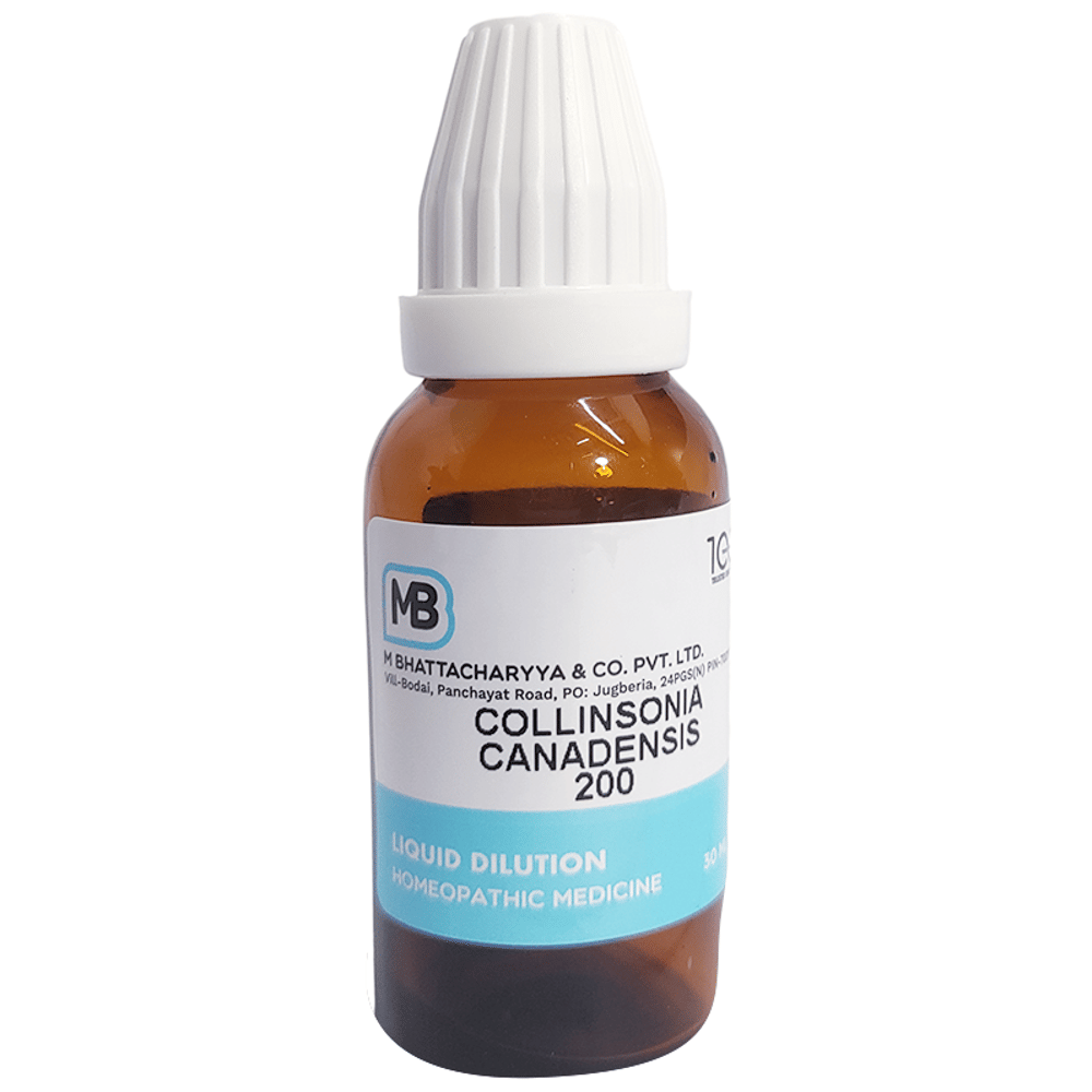 MB Collinsonia Canadensis Dilution 200 bottle of 30 ml Dilution MB Collinsonia Canadensis Dilution 200 bottle of 30 ml Dilution