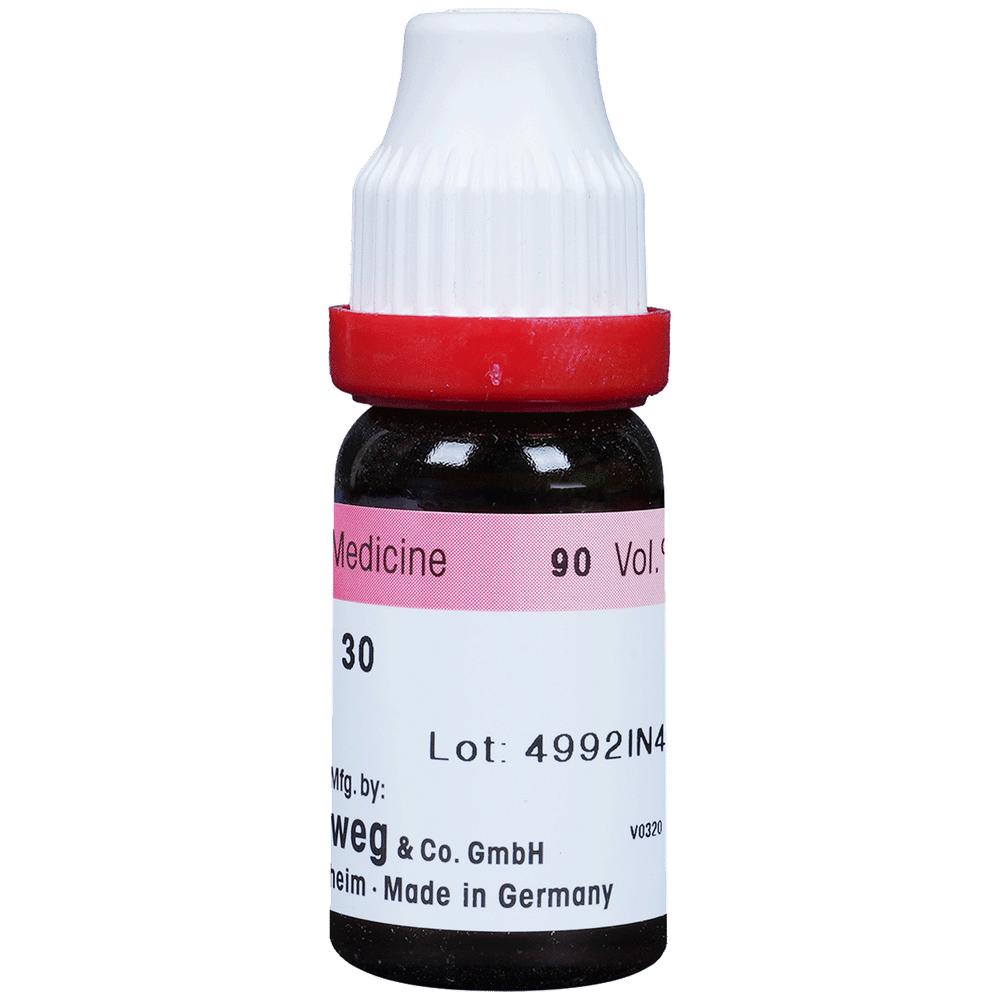 Dr. Reckeweg Nux Vomica Dilution 30 CH bottle of 11 ml Dilution Dr. Reckeweg Nux Vomica Dilution 30 CH bottle of 11 ml Dilution