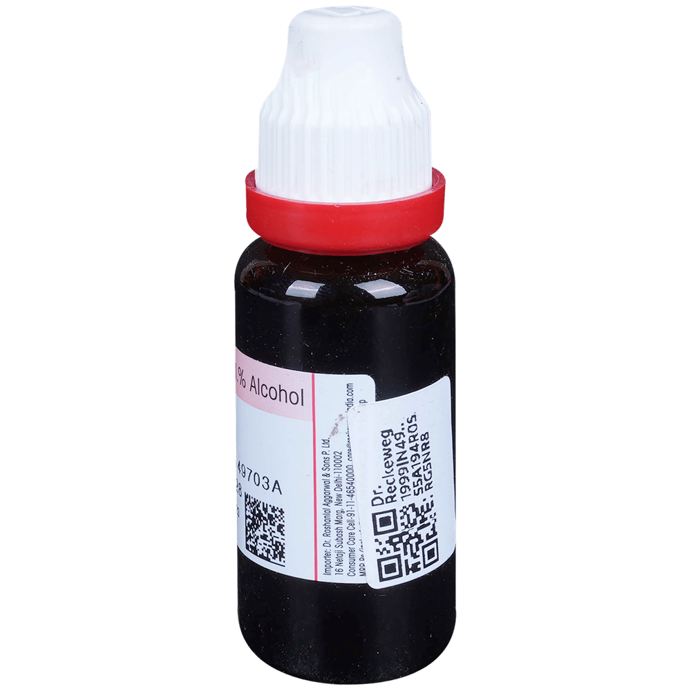 Dr. Reckeweg Baptisia Tinctoria Mother Tincture Q bottle of 20 ml Mother Tincture Dr. Reckeweg Baptisia Tinctoria Mother Tincture Q bottle of 20 ml Mother Tincture