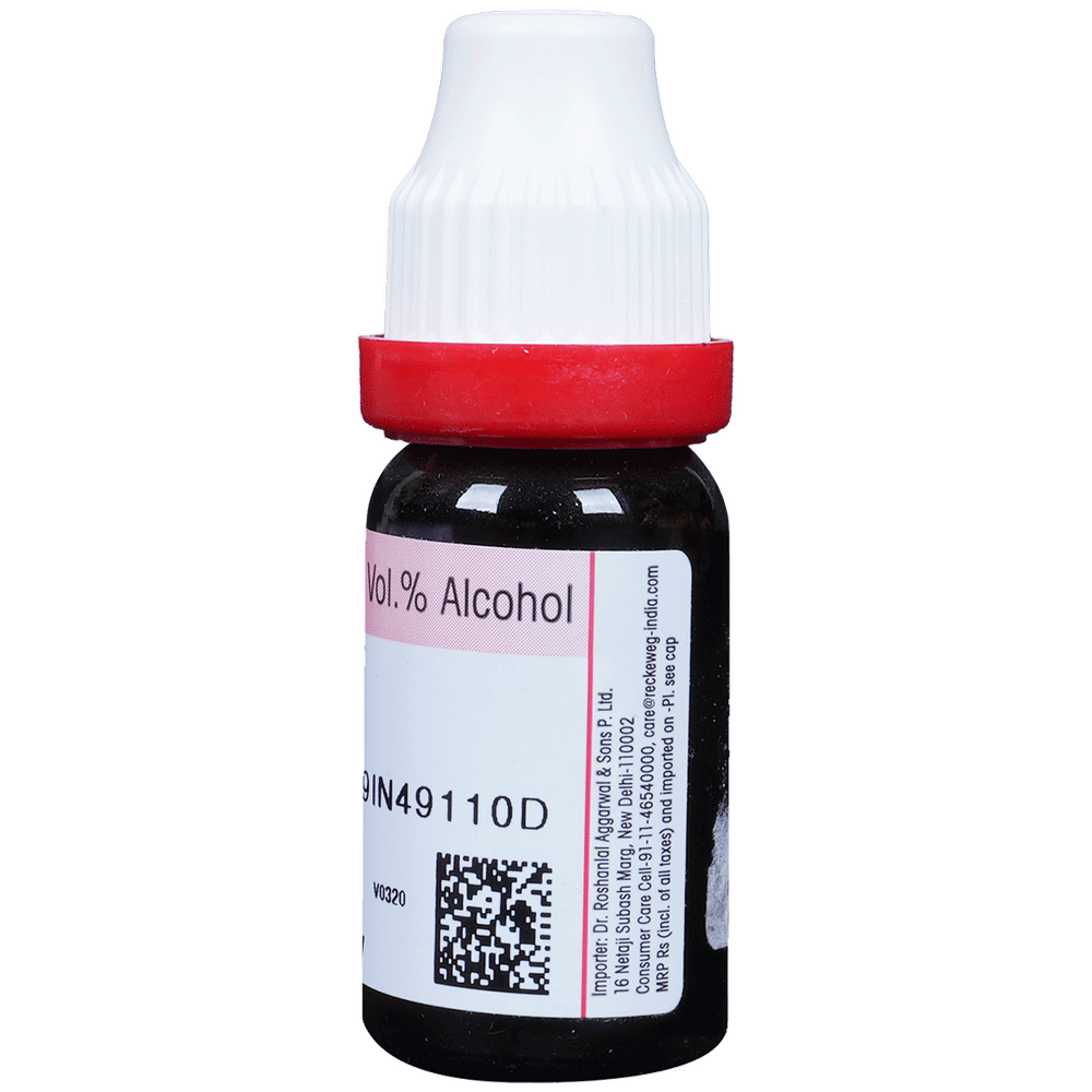 Dr. Reckeweg Cantharis Dilution 30 CH bottle of 11 ml Dilution Dr. Reckeweg Cantharis Dilution 30 CH bottle of 11 ml Dilution