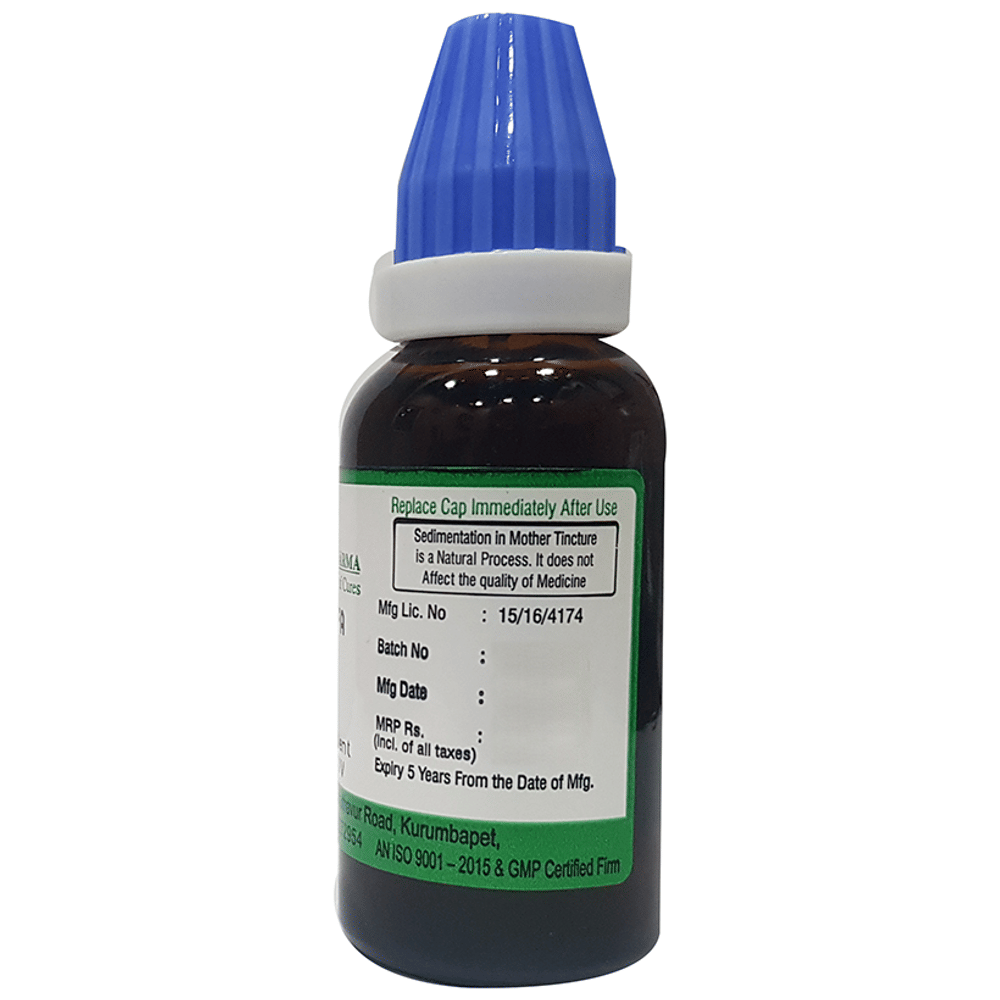 Hering Pharma Alfalfa Mother Tincture Q bottle of 30 ml Mother Tincture