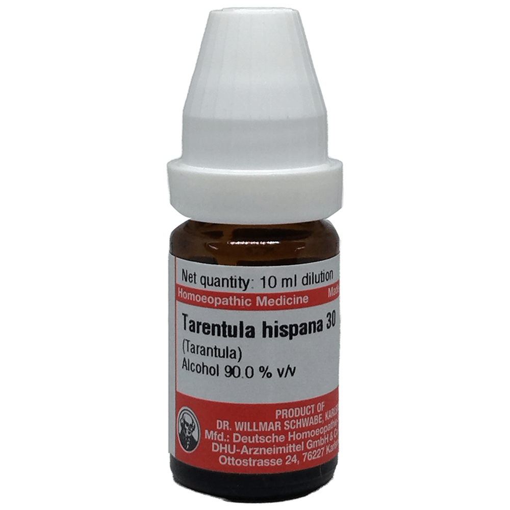 Dr Willmar Schwabe Germany Tarentula Hispana Dilution 30 bottle of 10 ml Dilution
