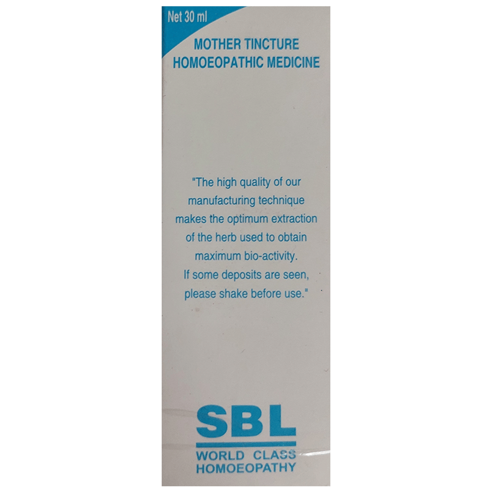 SBL Ephedra Vulgaris Mother Tincture Q bottle of 30 ml Mother Tincture SBL Ephedra Vulgaris Mother Tincture Q bottle of 30 ml Mother Tincture