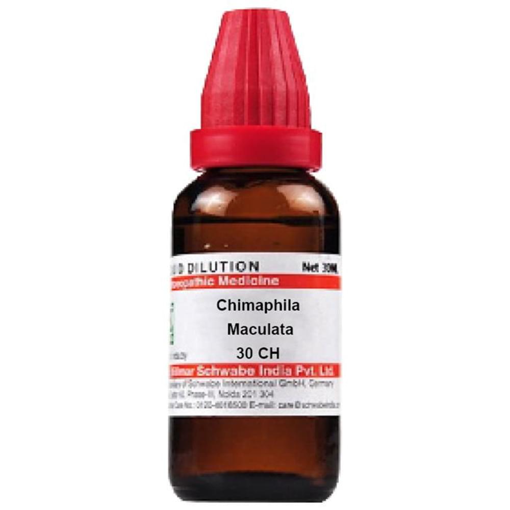 Dr Willmar Schwabe India Chimaphila Maculata Dilution 30 CH bottle of 30 ml Dilution Dr Willmar Schwabe India Chimaphila Maculata Dilution 30 CH bottle of 30 ml Dilution