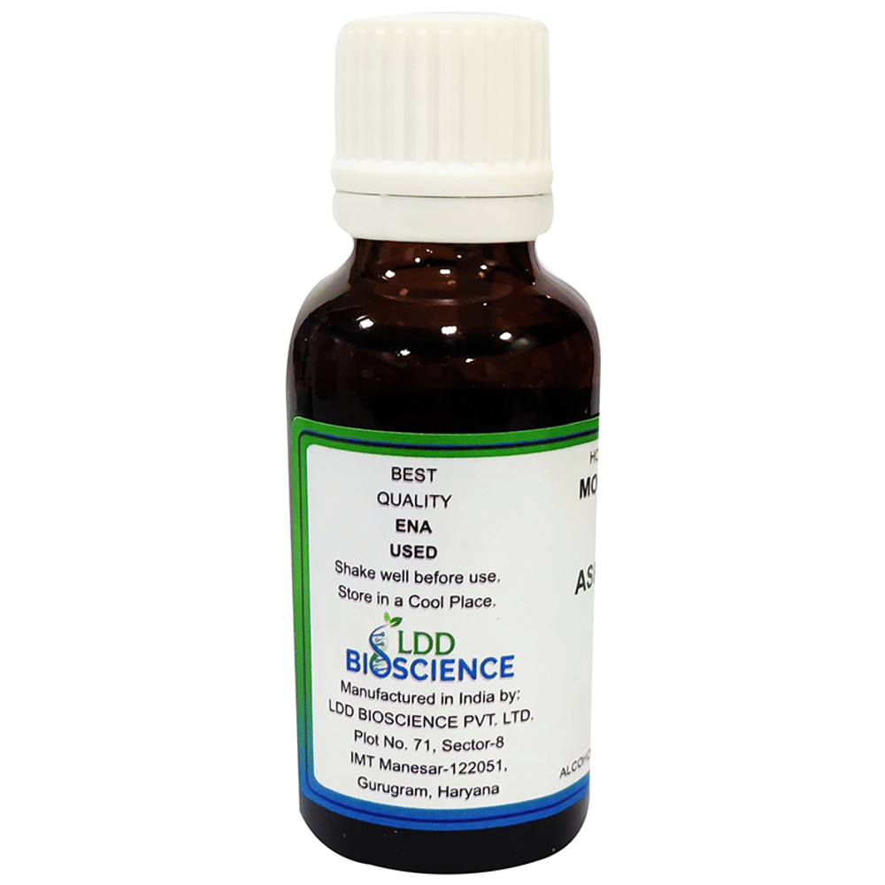 LDD Bioscience Aspidosperma Q Mother Tincture bottle of 30 ml Mother Tincture