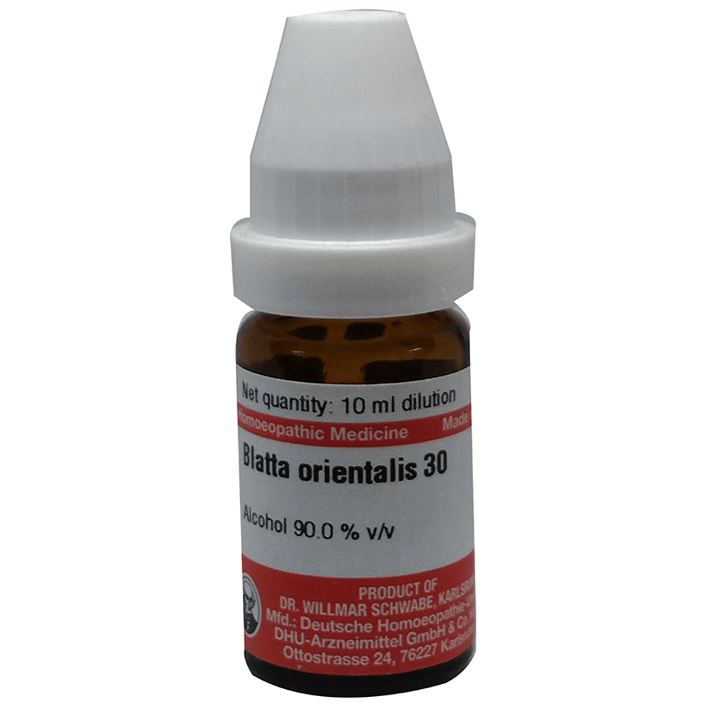 Dr Willmar Schwabe Germany Blatta Orientalis Dilution 30 bottle of 10 ml Dilution