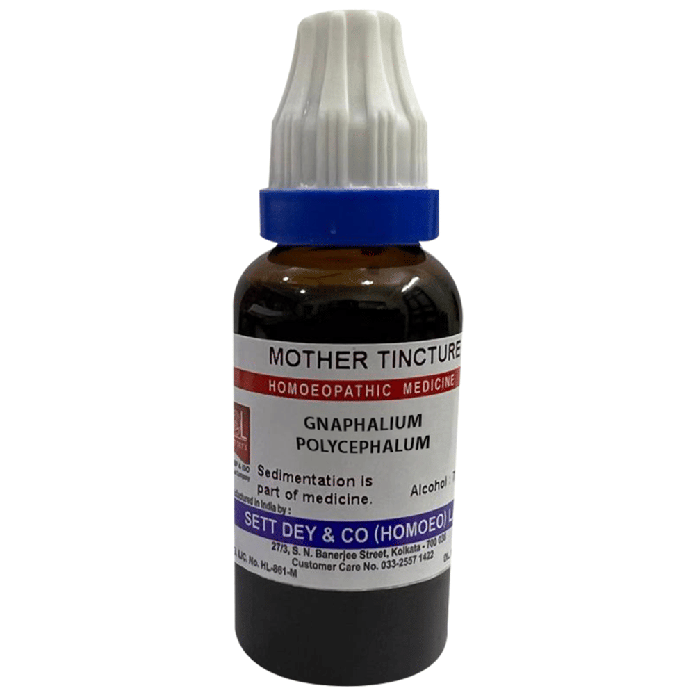 Sett Dey Gnaphalium Polycephalum Mother Tincture bottle of 30 ml Mother Tincture