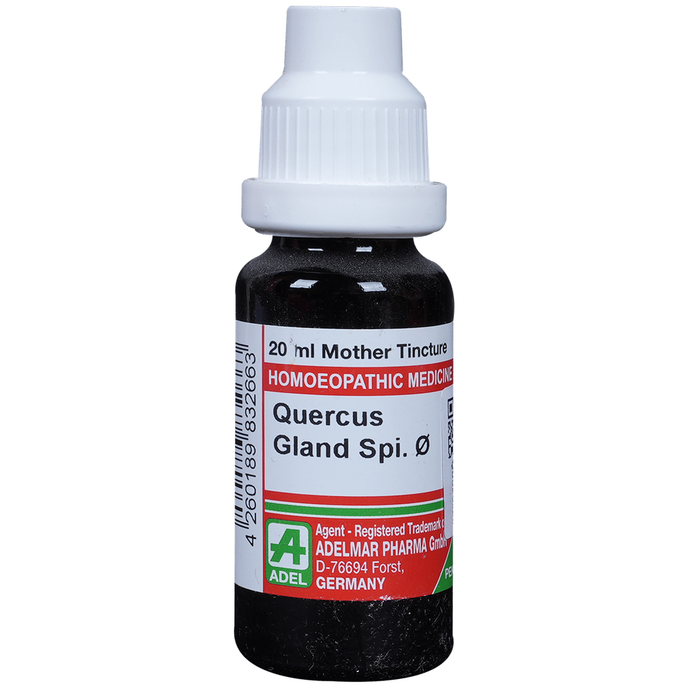 ADEL Quercus Gland Spi Mother Tincture Q bottle of 20 ml Mother Tincture