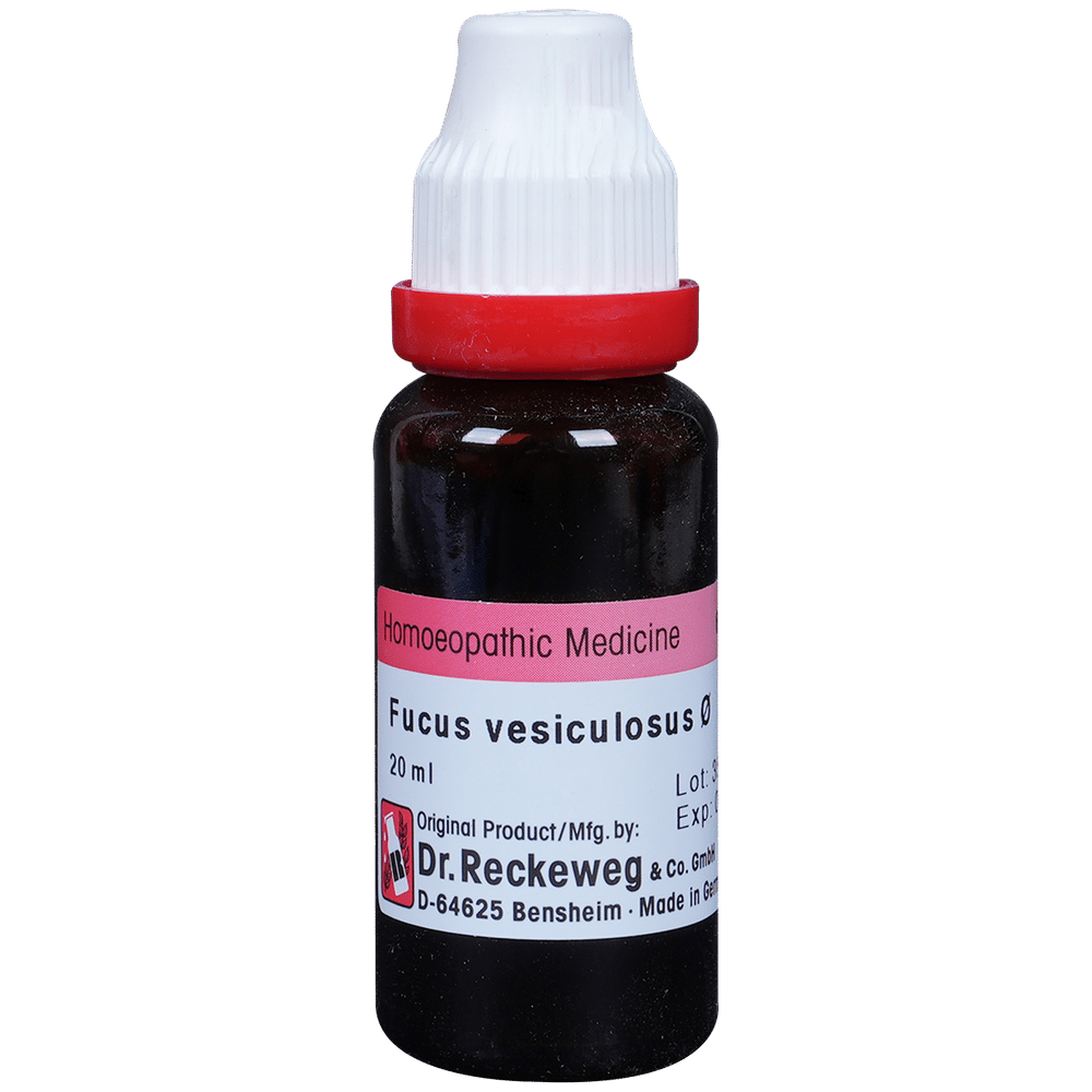 Dr. Reckeweg Fucus Vesic Mother Tincture Q bottle of 20 ml Mother Tincture