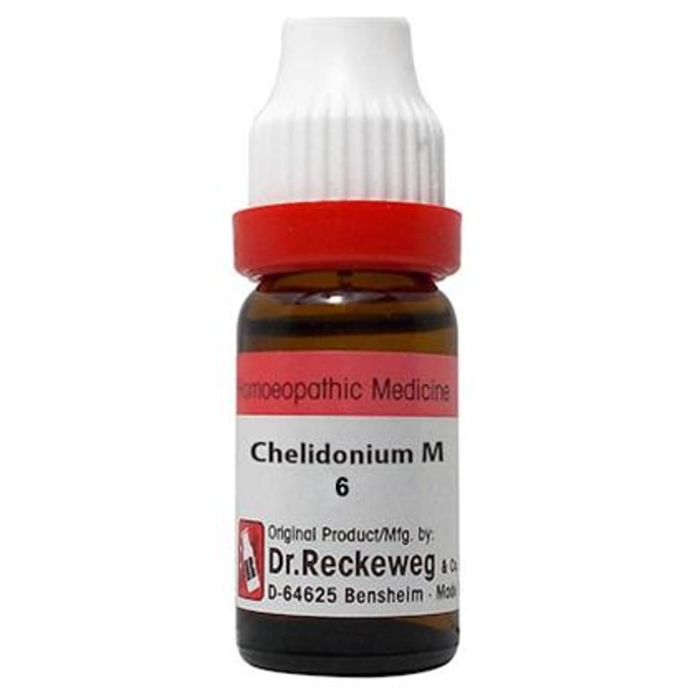 Dr. Reckeweg Chelidonium Maj Dilution 6 CH bottle of 11 ml Dilution Dr. Reckeweg Chelidonium Maj Dilution 6 CH bottle of 11 ml Dilution
