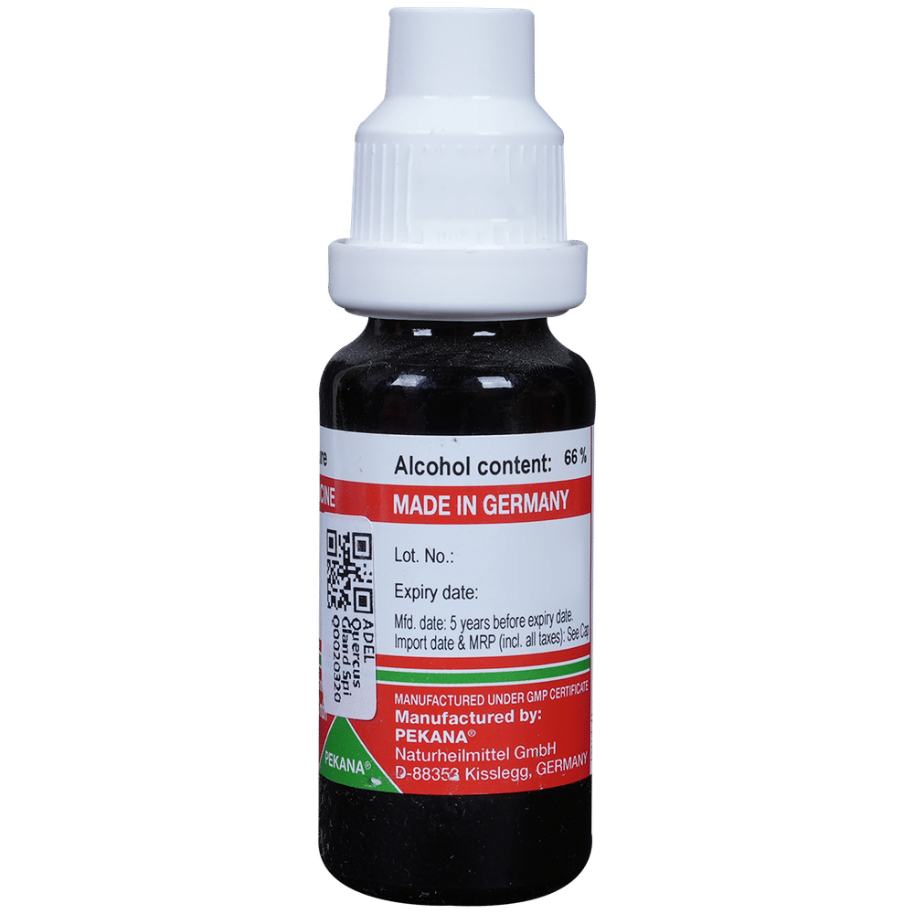 ADEL Quercus Gland Spi Mother Tincture Q bottle of 20 ml Mother Tincture