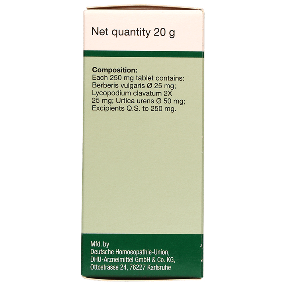 Dr Willmar Schwabe Germany Berberis Pentarkan Ptk. 15 Tablet bottle of 20 gm Tablet Dr Willmar Schwabe Germany Berberis Pentarkan Ptk. 15 Tablet bottle of 20 gm Tablet