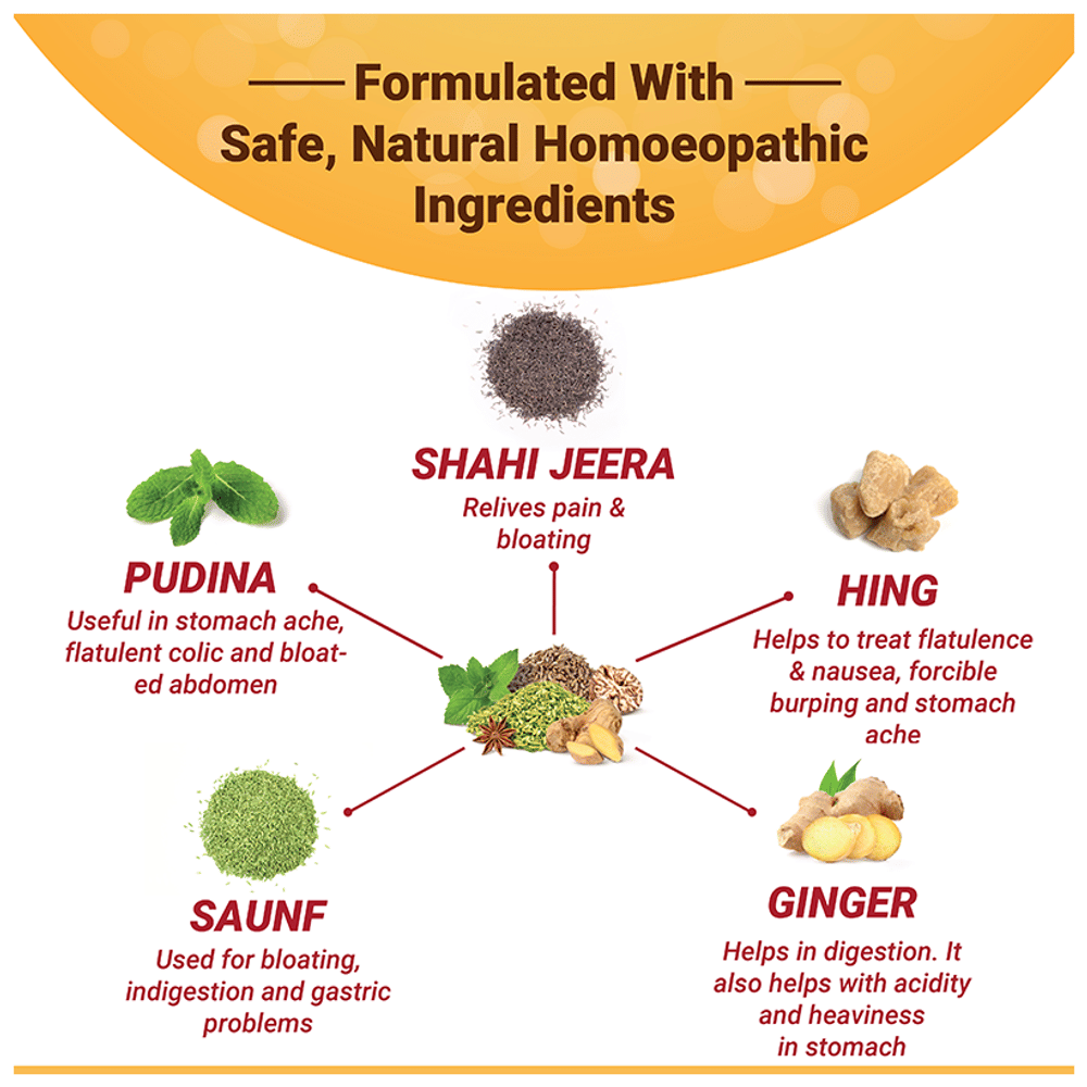 Medisynth Gasgan Eazy Syrup Sugar Free bottle of 120 ml Syrup