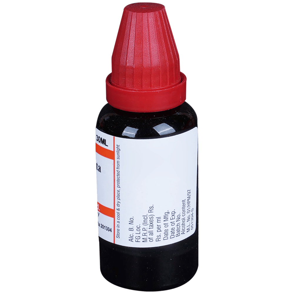 Dr Willmar Schwabe India Sterculia Acuminata Mother Tincture Q bottle of 30 ml Mother Tincture Dr Willmar Schwabe India Sterculia Acuminata Mother Tincture Q bottle of 30 ml Mother Tincture