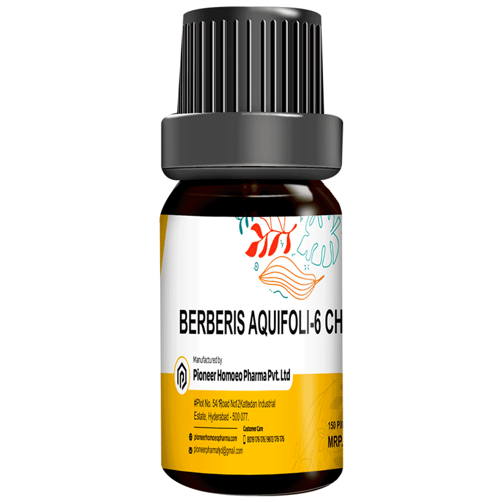 Pioneer Pharma Berberis Aquifoli Globules Pellets Multidose Pills 6 CH bottle of 150 tablets