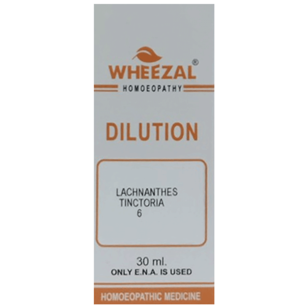 Wheezal Lachnanthes Tinctoria Dilution 6 bottle of 30 ml Dilution