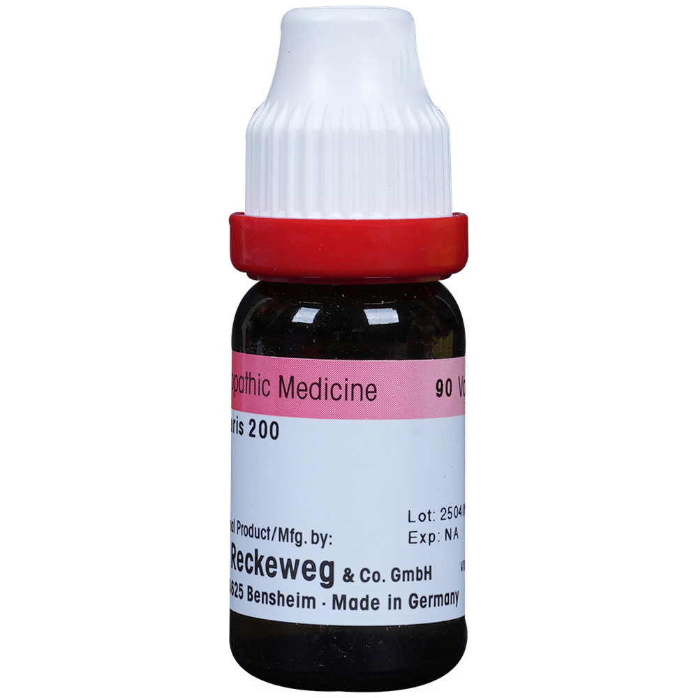 Dr. Reckeweg Cantharis Dilution 200 CH bottle of 11 ml Dilution