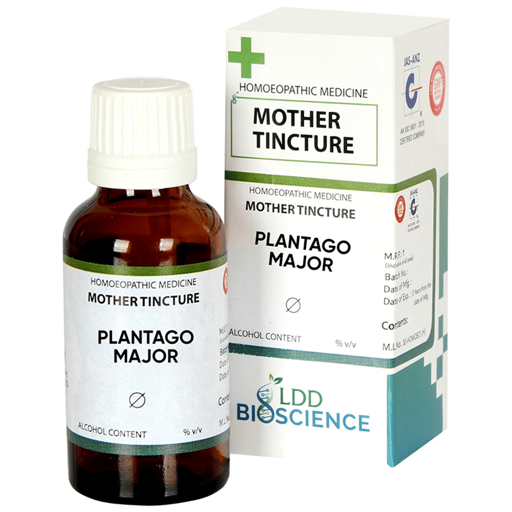 LDD Bioscience Plantago Major Mother Tincture Q bottle of 30 ml Mother Tincture