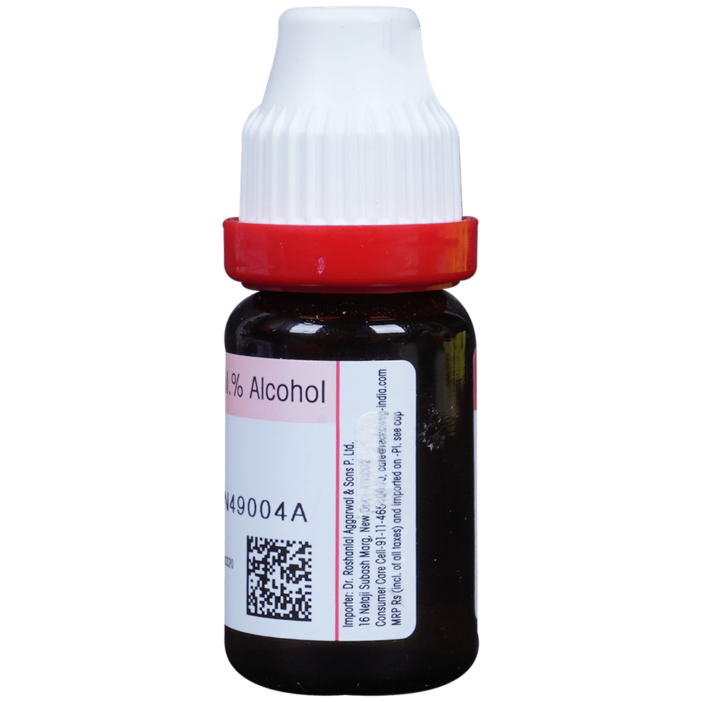 Dr. Reckeweg Selenium Dilution 200 CH bottle of 11 ml Dilution Dr. Reckeweg Selenium Dilution 200 CH bottle of 11 ml Dilution