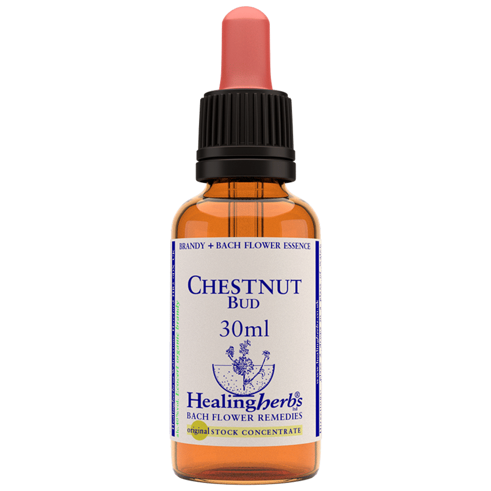 Healing Herbs Bach Flower Chestnut Bud bottle of 30 ml Liquid