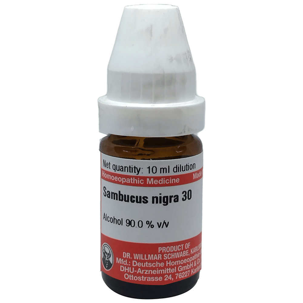 Dr Willmar Schwabe Germany Sambucus Nigra Dilution 30 bottle of 10 ml Dilution