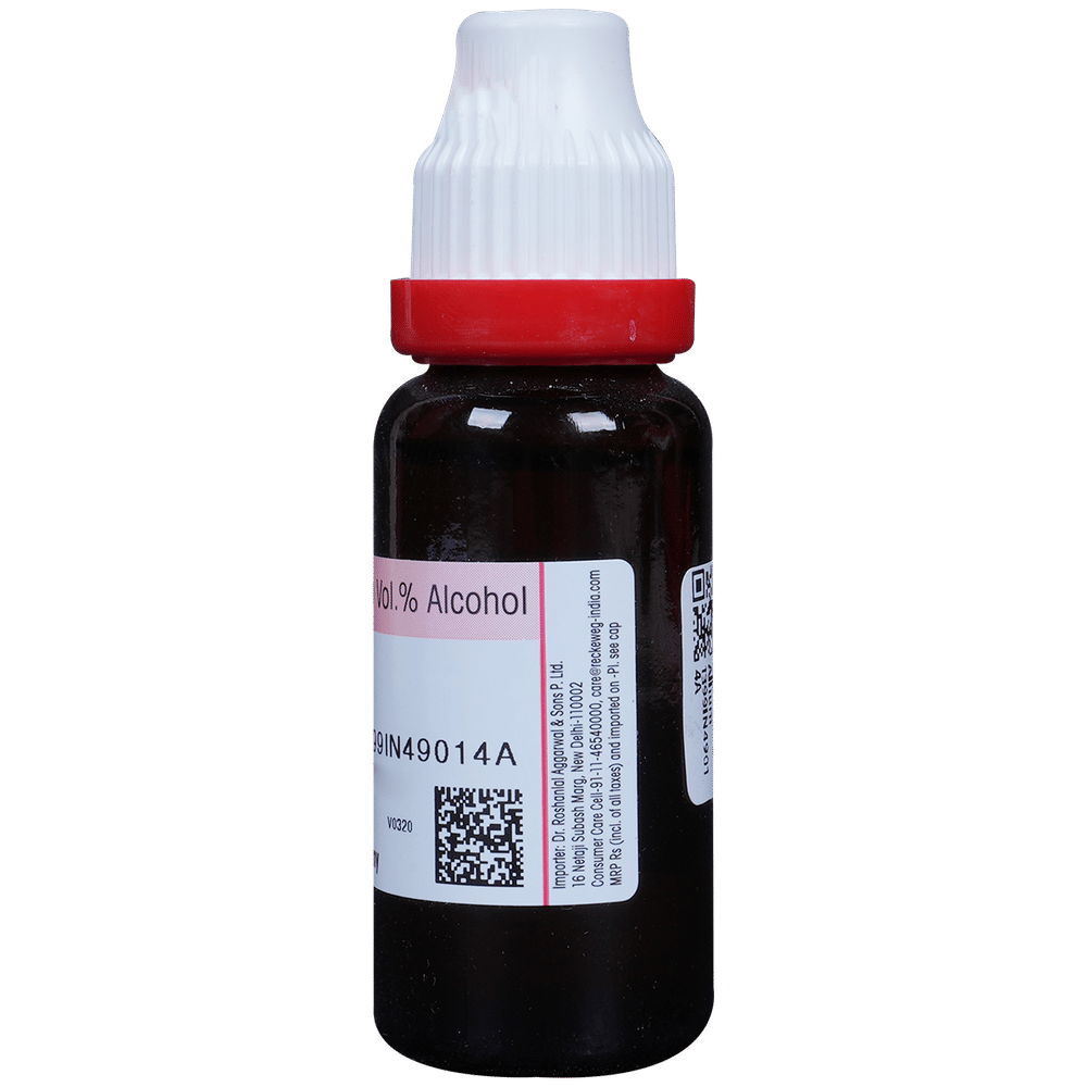 Dr. Reckeweg Allium Sativum Mother Tincture Q bottle of 20 ml Mother Tincture Dr. Reckeweg Allium Sativum Mother Tincture Q bottle of 20 ml Mother Tincture