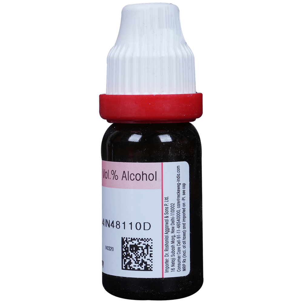 Dr. Reckeweg Carbo Vegetabilis Dilution 6 CH bottle of 11 ml Dilution Dr. Reckeweg Carbo Vegetabilis Dilution 6 CH bottle of 11 ml Dilution
