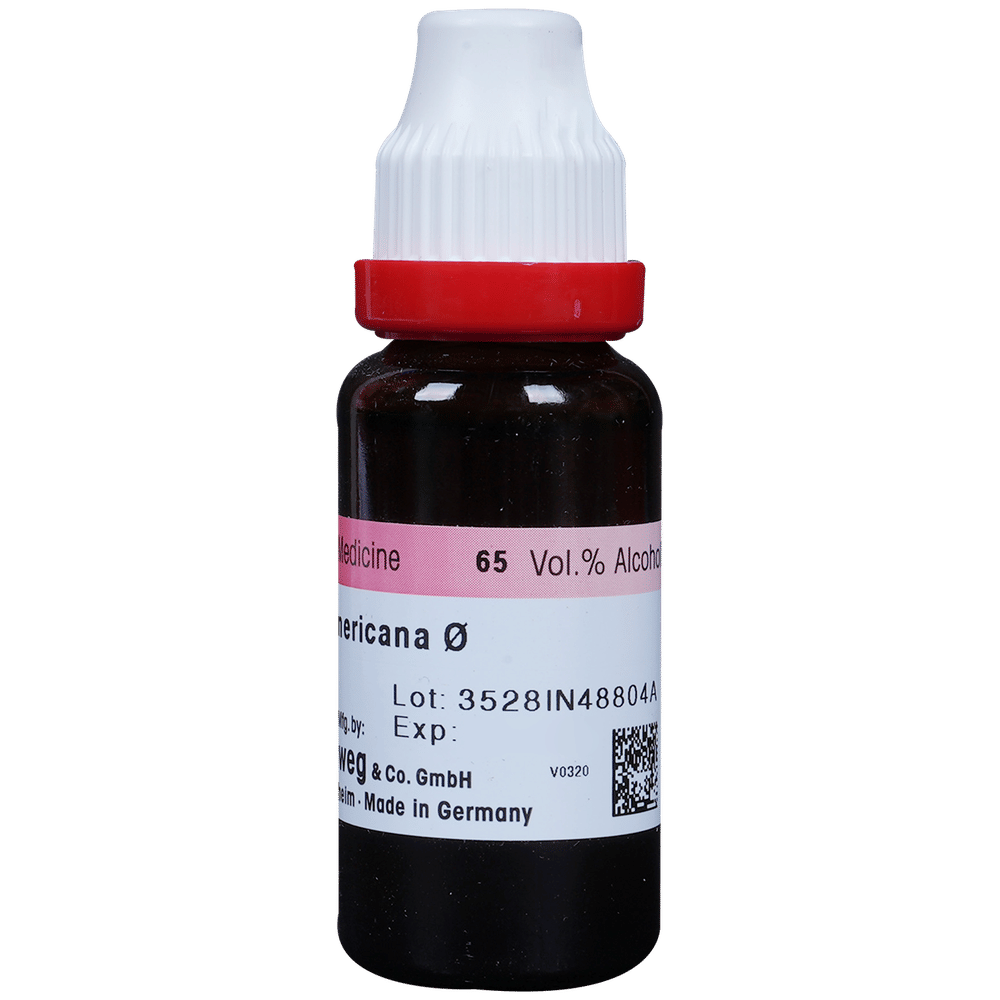 Dr. Reckeweg Fraxinus Amer Mother Tincture Q bottle of 20 ml Mother Tincture