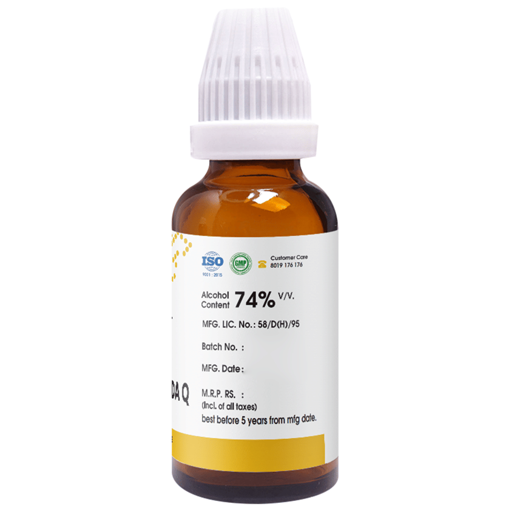 Pioneer Pharma Mother Tincture Justicia Adhatoda Q bottle of 30 ml Mother Tincture Pioneer Pharma Mother Tincture Justicia Adhatoda Q bottle of 30 ml Mother Tincture